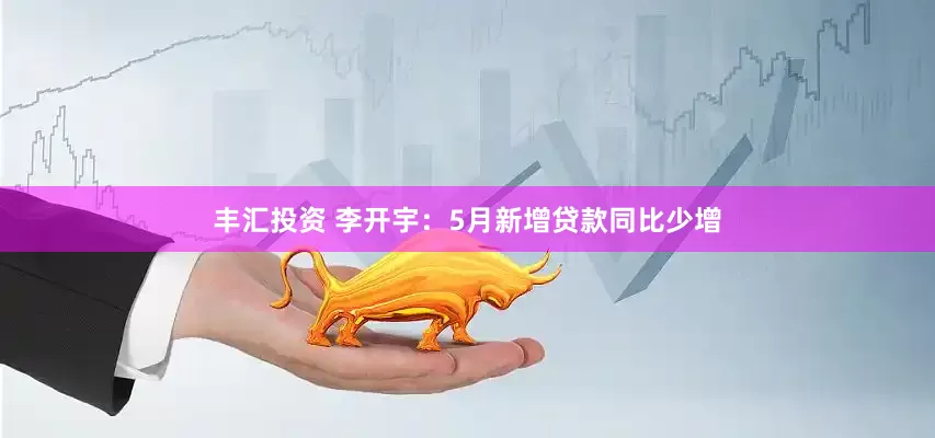 丰汇投资 李开宇：5月新增贷款同比少增
