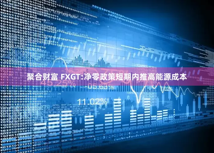 聚合财富 FXGT:净零政策短期内推高能源成本