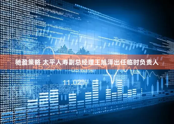 驰盈策略 太平人寿副总经理王旭泽出任临时负责人