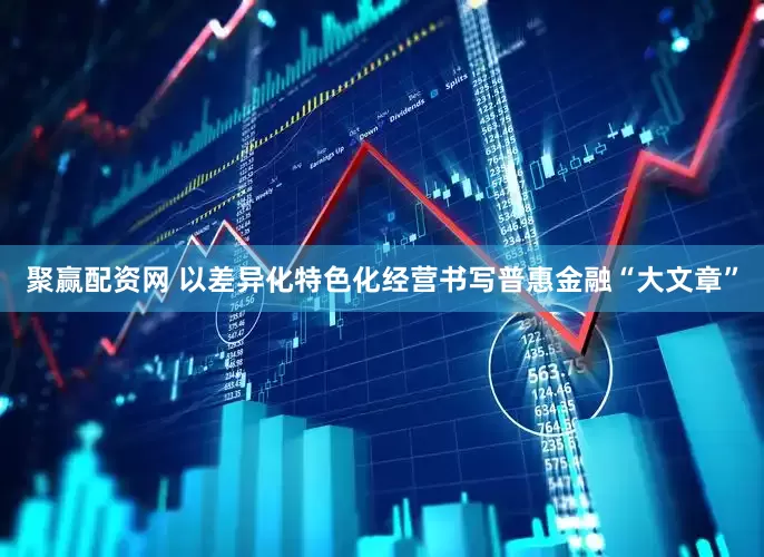 聚赢配资网 以差异化特色化经营书写普惠金融“大文章”