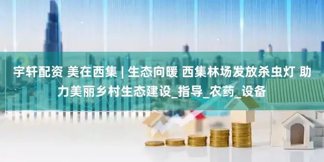 宇轩配资 美在西集 | 生态向暖 西集林场发放杀虫灯 助力美丽乡村生态建设_指导_农药_设备
