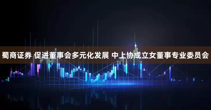 蜀商证券 促进董事会多元化发展 中上协成立女董事专业委员会